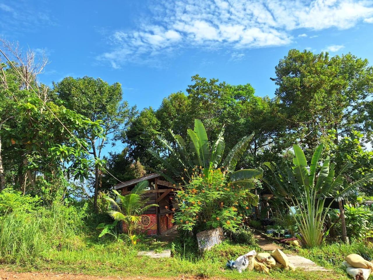 Dragonfly Guesthouse 코롱 산로엠 외부 사진